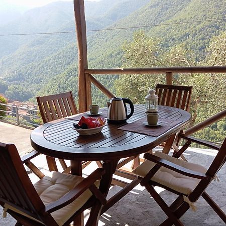 Agriturismo U' Spigu Nonna Annetta Nasino Ngoại thất bức ảnh