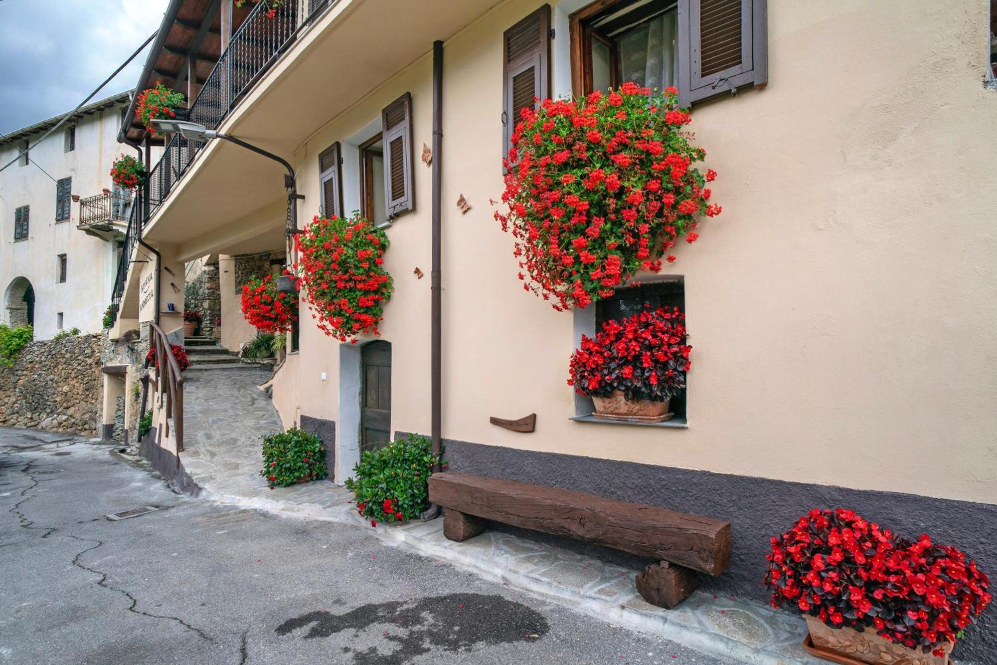Agriturismo U' Spigu Nonna Annetta Nasino Ngoại thất bức ảnh