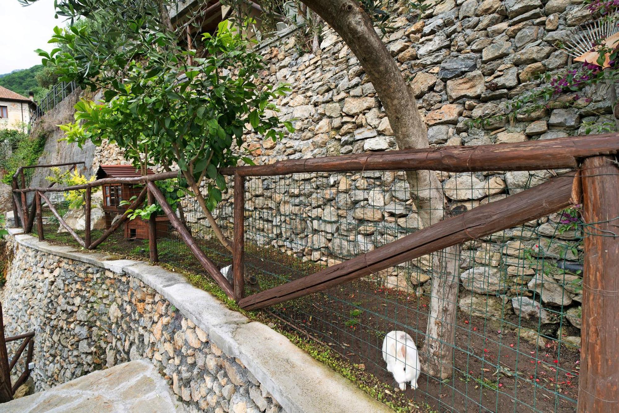 Agriturismo U' Spigu Nonna Annetta Nasino Ngoại thất bức ảnh