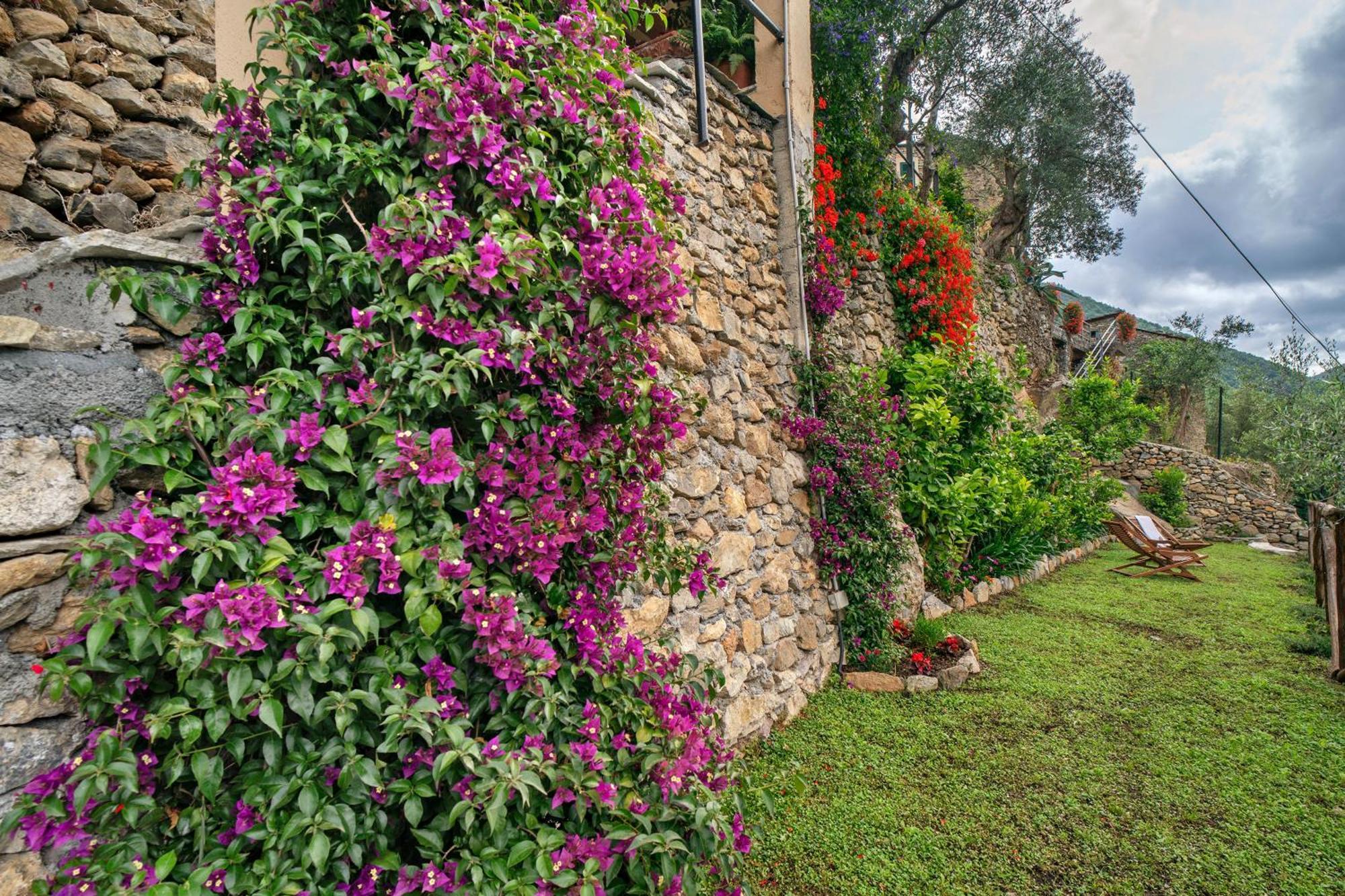 Agriturismo U' Spigu Nonna Annetta Nasino Ngoại thất bức ảnh