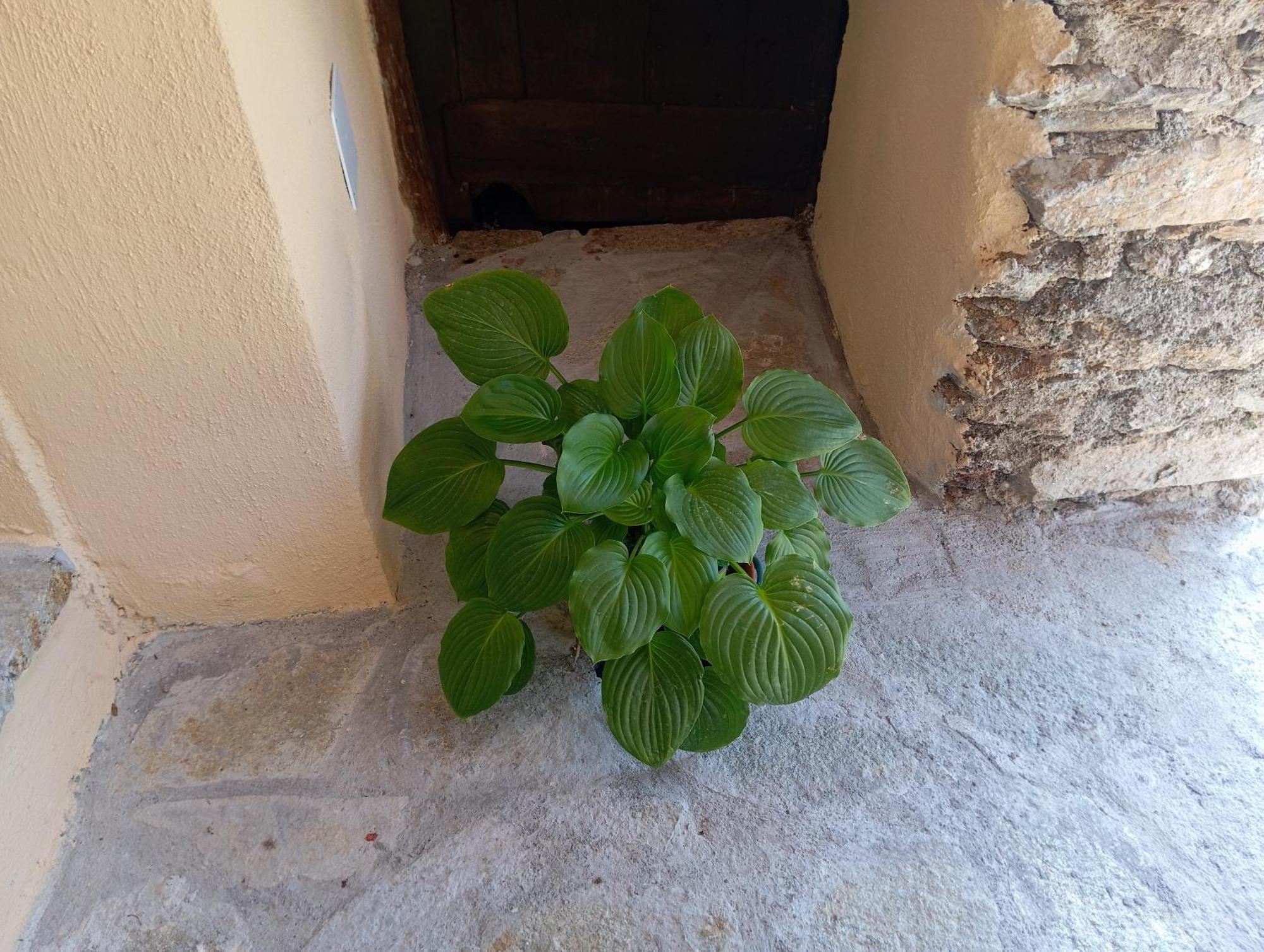 Agriturismo U' Spigu Nonna Annetta Nasino Ngoại thất bức ảnh